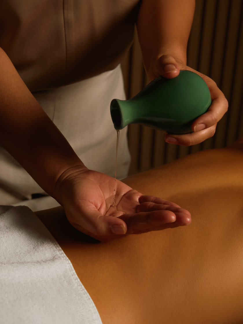 Master Therapist Experience